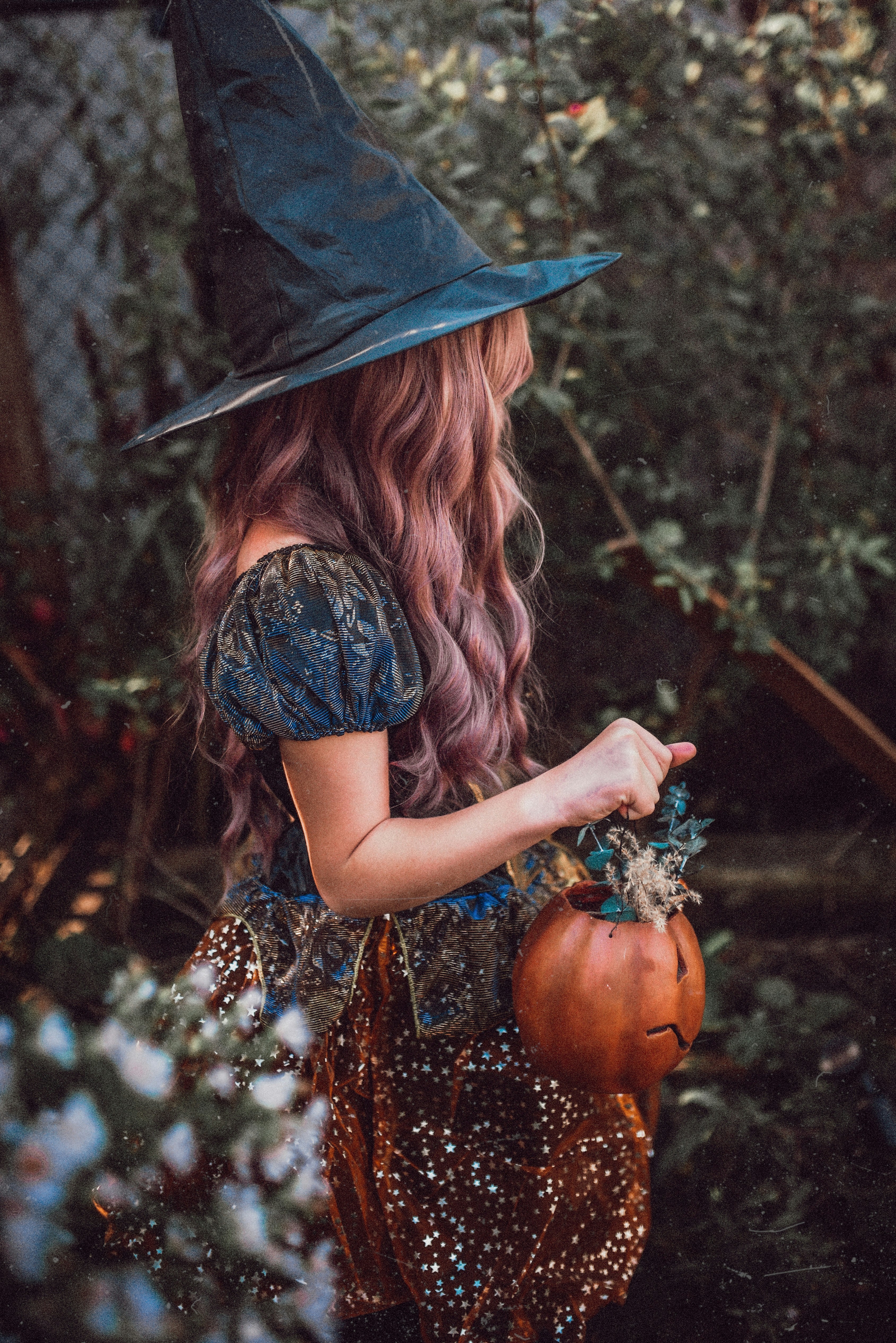 20+ Best Free Halloween Pictures on Unsplash